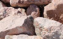 Royal Gorge Boulders