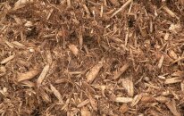 Western Red Cedar Bark